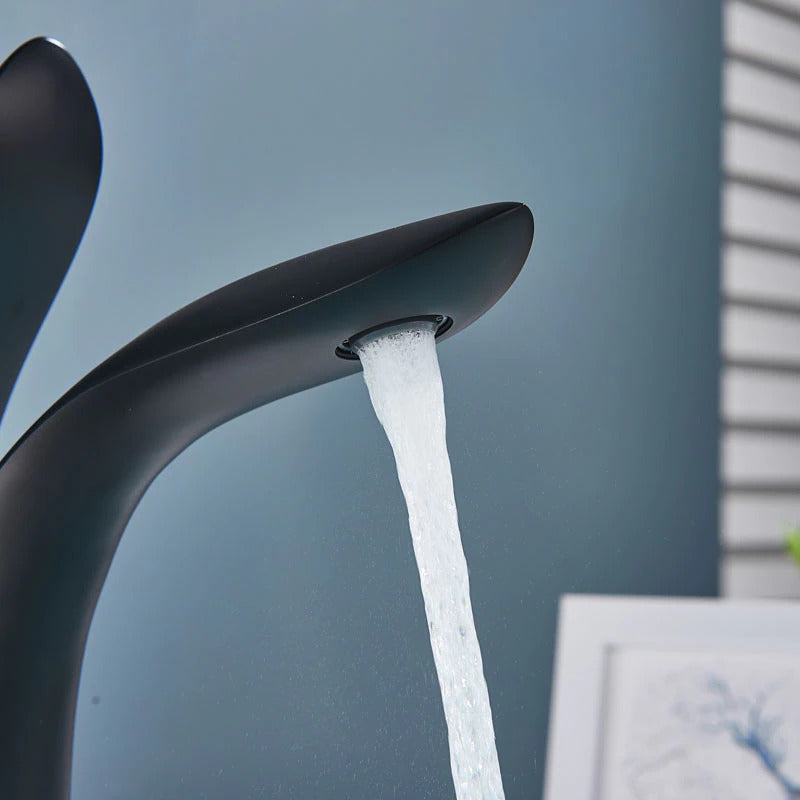 Luxurious modern bathroom faucet