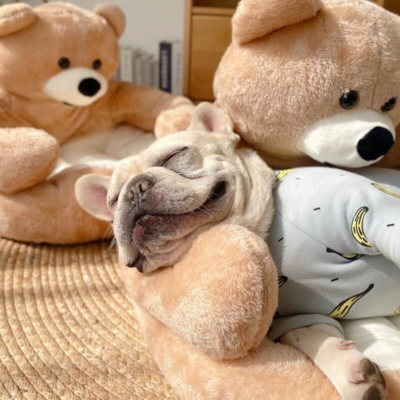 Cute detachable cuddly bear cat bed