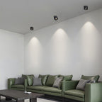 Adjustable Cylinder Built-in LED Ceiling Lamp