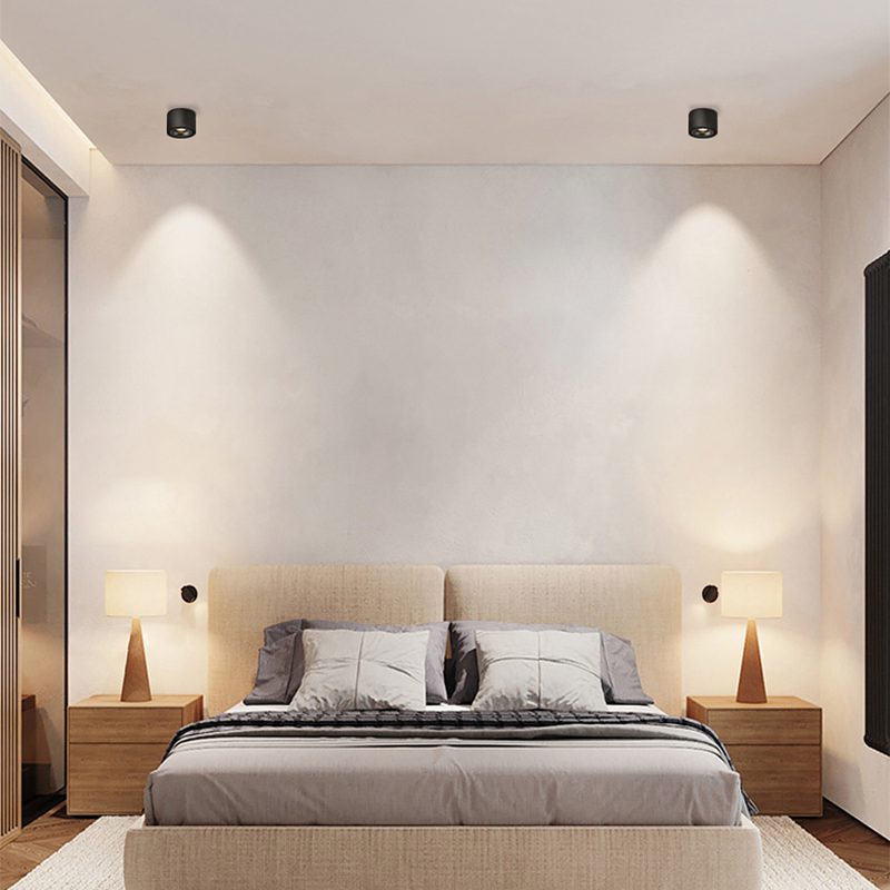 Adjustable Cylinder Built-in LED Ceiling Lamp