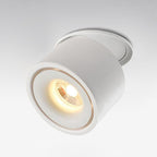 Adjustable Cylinder Built-in LED Ceiling Lamp