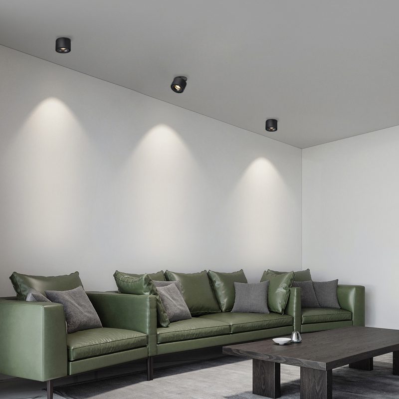 Adjustable Cylinder Built-in LED Ceiling Lamp