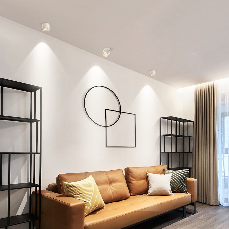 Adjustable Cylinder Built-in LED Ceiling Lamp