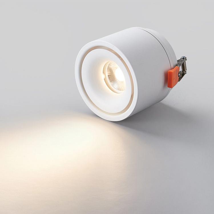 Adjustable Cylinder Built-in LED Ceiling Lamp