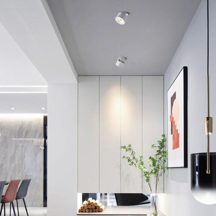 Adjustable Cylinder Built-in LED Ceiling Lamp