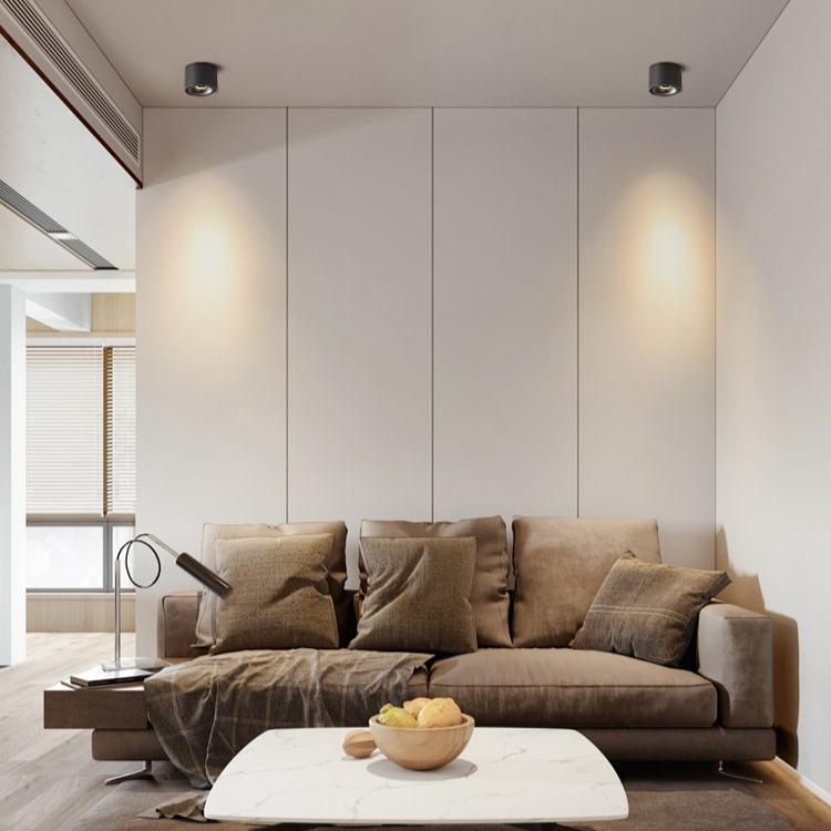Adjustable Cylinder Built-in LED Ceiling Lamp