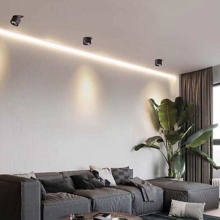 Adjustable Cylinder Built-in LED Ceiling Lamp