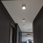 Adjustable Cylinder Built-in LED Ceiling Lamp