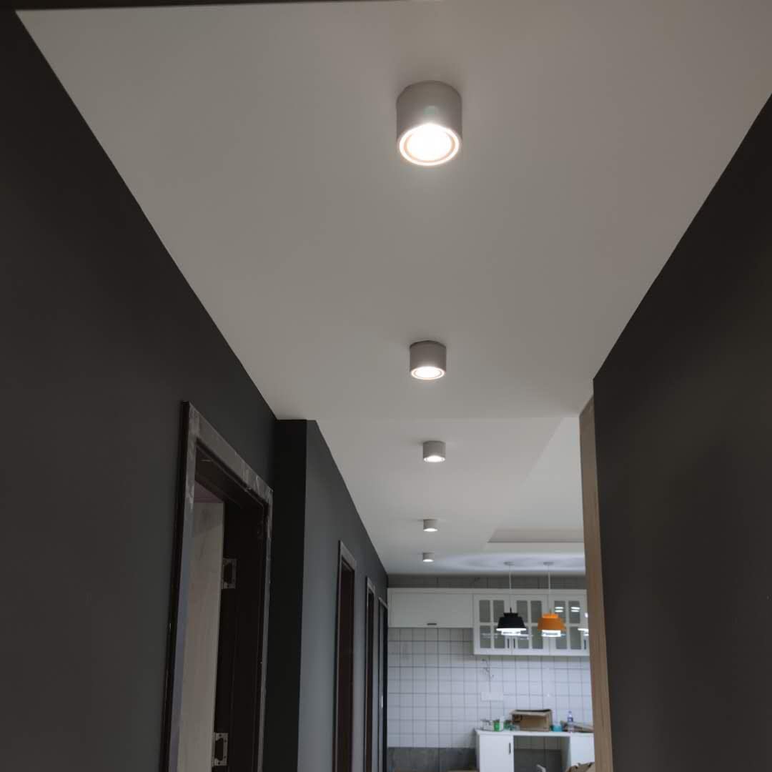 Adjustable Cylinder Built-in LED Ceiling Lamp