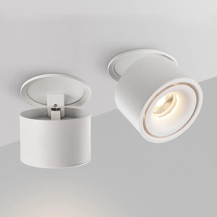 Adjustable Cylinder Built-in LED Ceiling Lamp