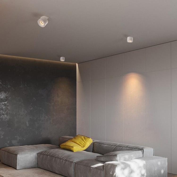 Adjustable Cylinder Built-in LED Ceiling Lamp