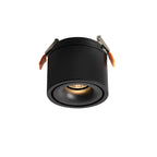 Adjustable Cylinder Built-in LED Ceiling Lamp
