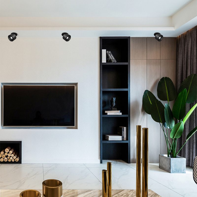 Adjustable Cylinder Built-in LED Ceiling Lamp
