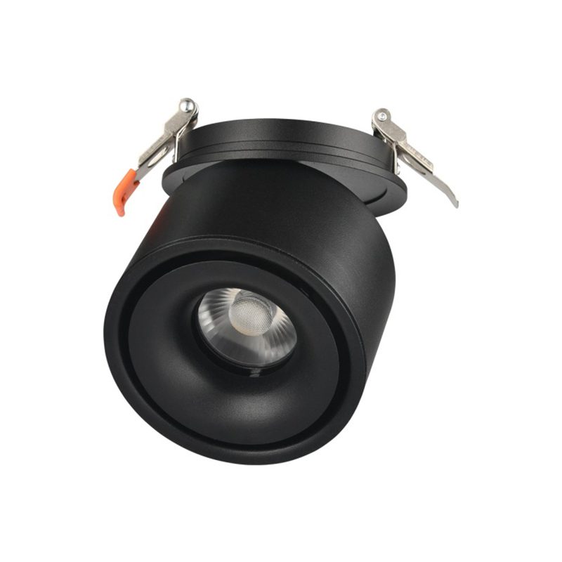 Adjustable Cylinder Built-in LED Ceiling Lamp