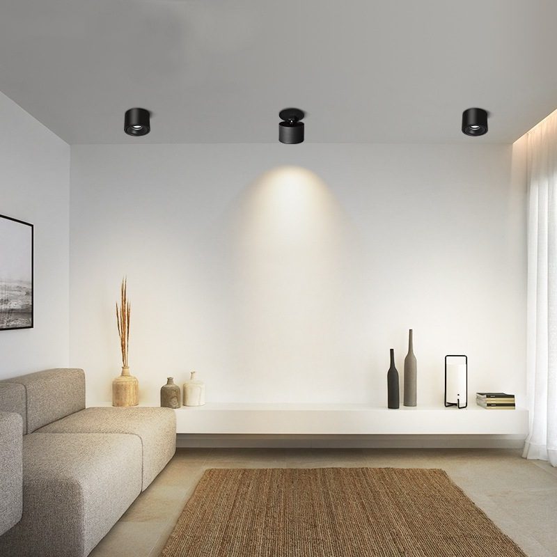 Adjustable Cylinder Built-in LED Ceiling Lamp