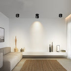 Adjustable Cylinder Built-in LED Ceiling Lamp
