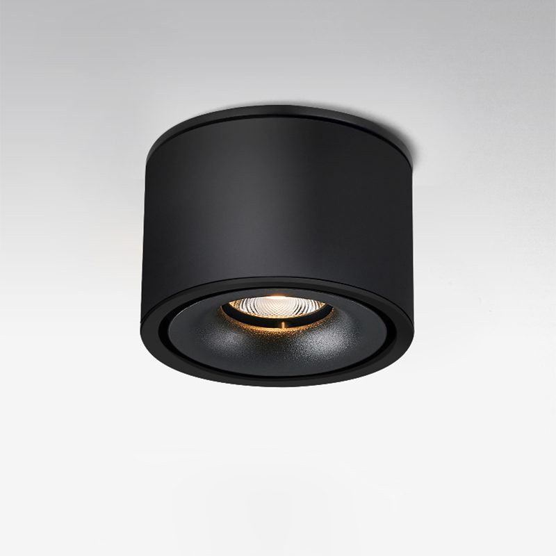Adjustable Cylinder Built-in LED Ceiling Lamp