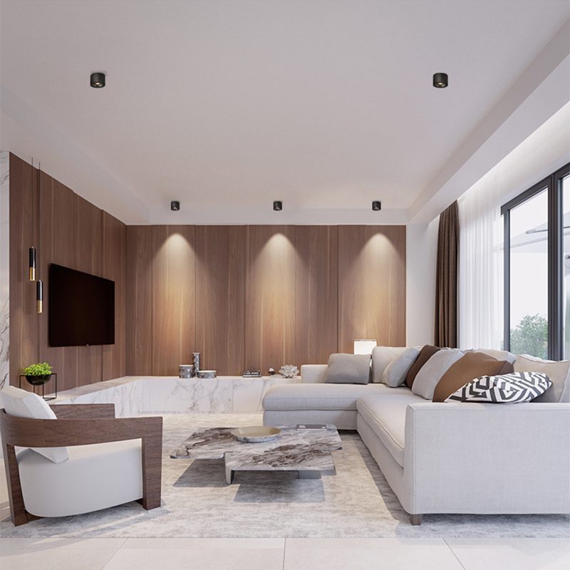 Adjustable Cylinder Built-in LED Ceiling Lamp