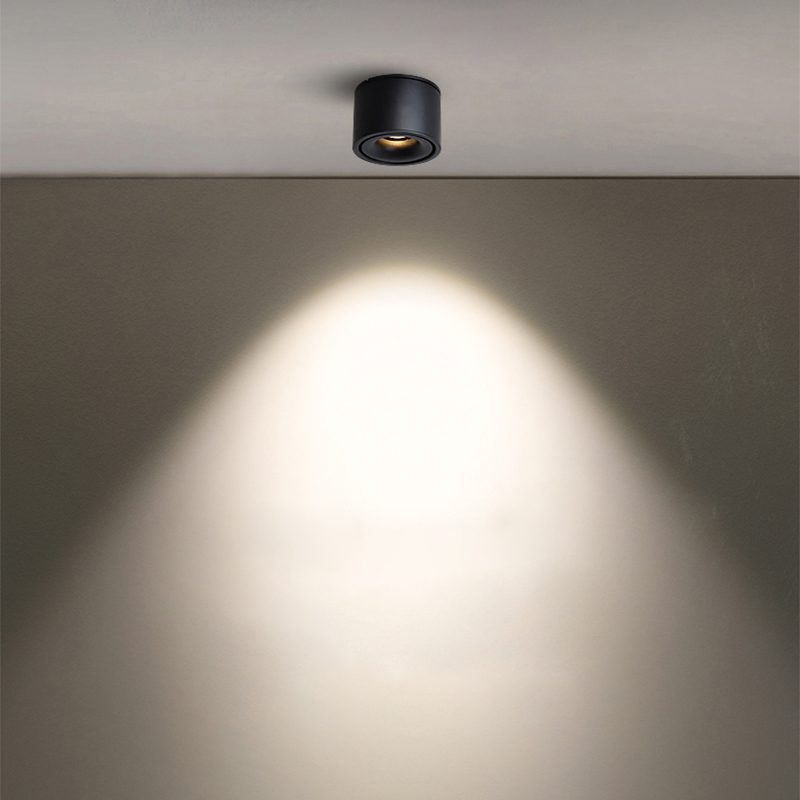 Adjustable Cylinder Built-in LED Ceiling Lamp
