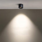 Adjustable Cylinder Built-in LED Ceiling Lamp