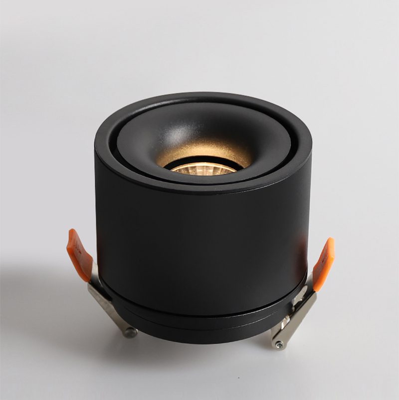 Adjustable Cylinder Built-in LED Ceiling Lamp