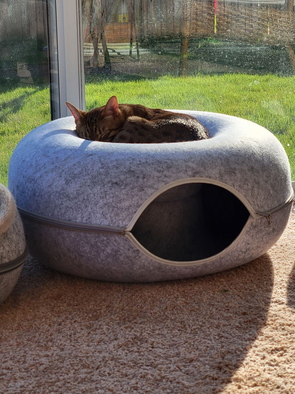 Purrfect Den - Luxury Cat Tunnel with Sleeping Spot
