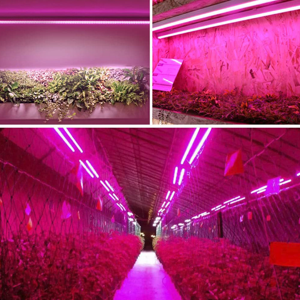 LED plant lamp with full spectrum lighting and pull switch for optimal plant growth