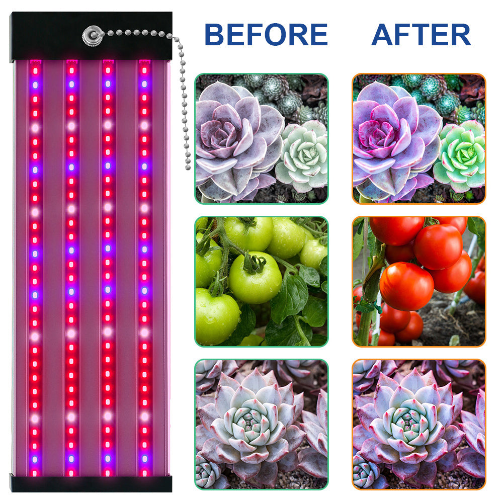 LED plant lamp with full spectrum lighting and pull switch for optimal plant growth