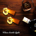 DIY Bottle Light with Cork – 20 LED Light Chain for Bottles in Warm White