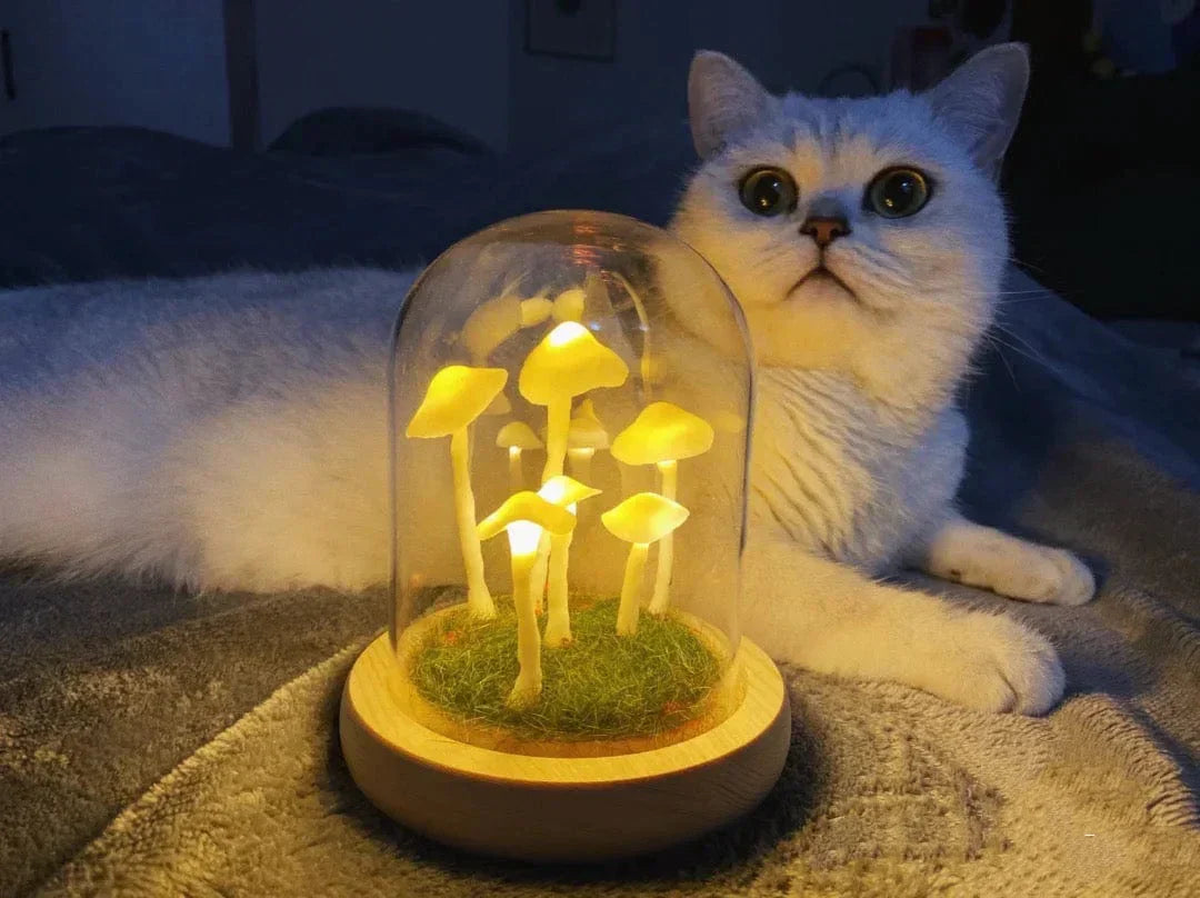 Home cultivation with a touch of magic