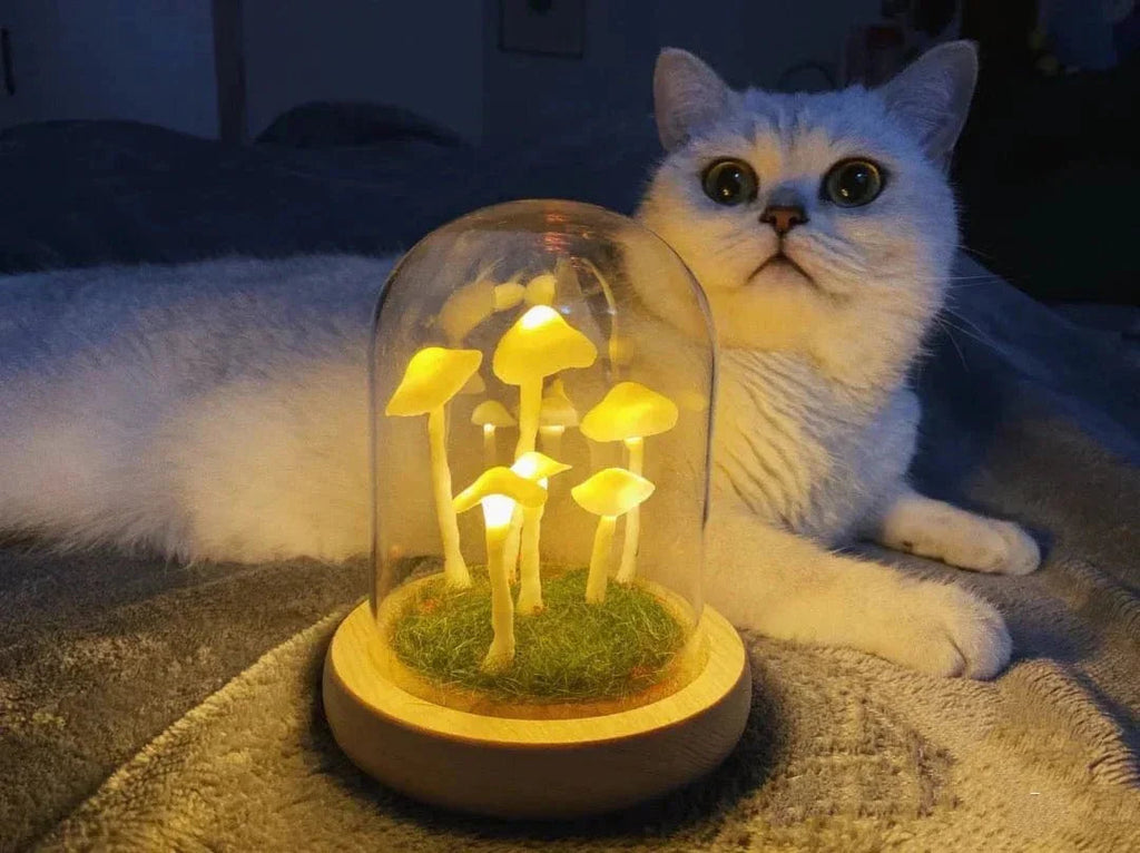 MycoJar - Make your own mushrooms - Natural glass DIY - Awaken your creativity
