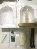 MycoJar - Make your own mushrooms - Natural glass DIY - Awaken your creativity