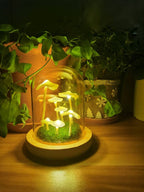 Home cultivation with a touch of magic