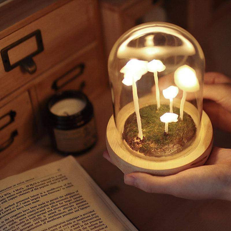 Home cultivation with a touch of magic