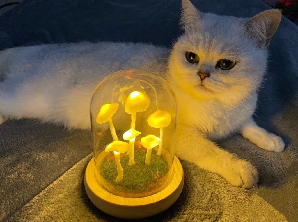 Home cultivation with a touch of magic
