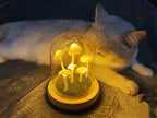 Home cultivation with a touch of magic