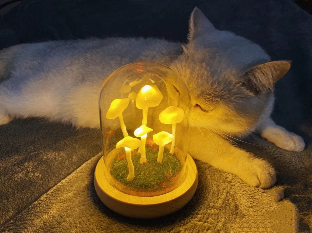 Home cultivation with a touch of magic