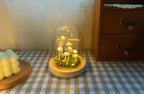 MycoJar - Make your own mushrooms - Natural glass DIY - Awaken your creativity