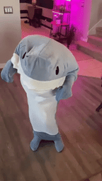 Shark Blanket 🦈