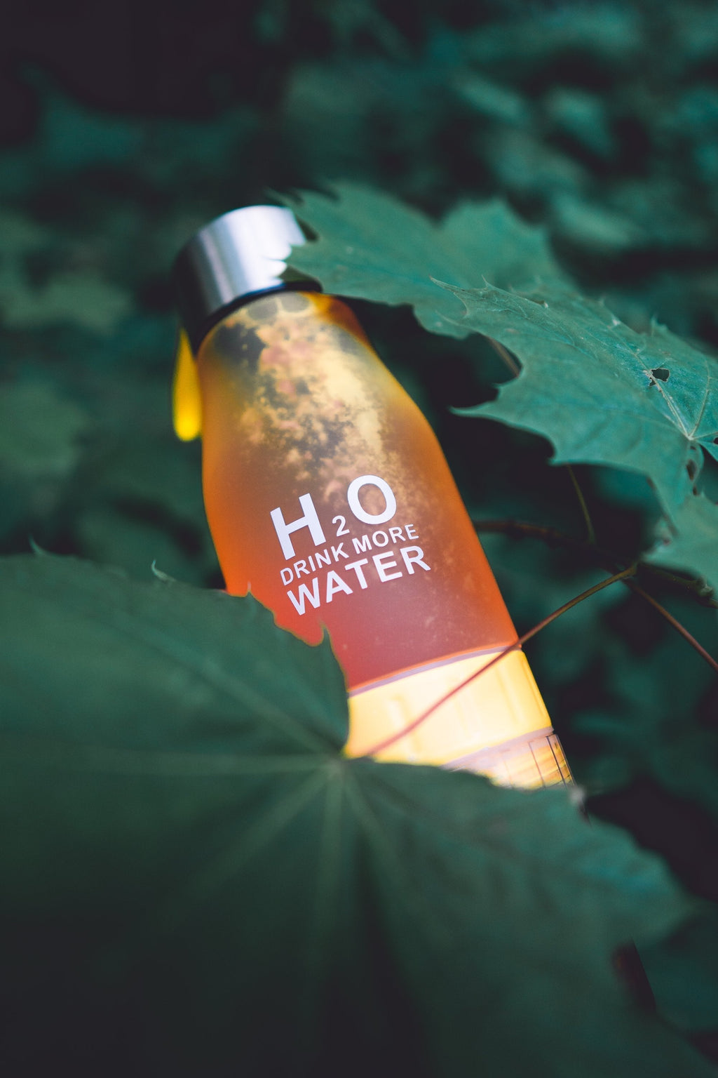 H²O Fruit Infusion Water Bottle