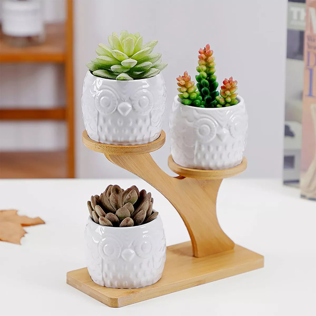 Decorative plant stand made of wood – plant pots in owl design for succulents and indoor plants