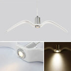 Unique Decoration and Functional Lighting