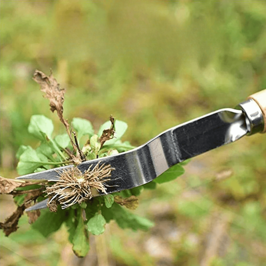 Precise weed remover with ergonomic handle for easy use