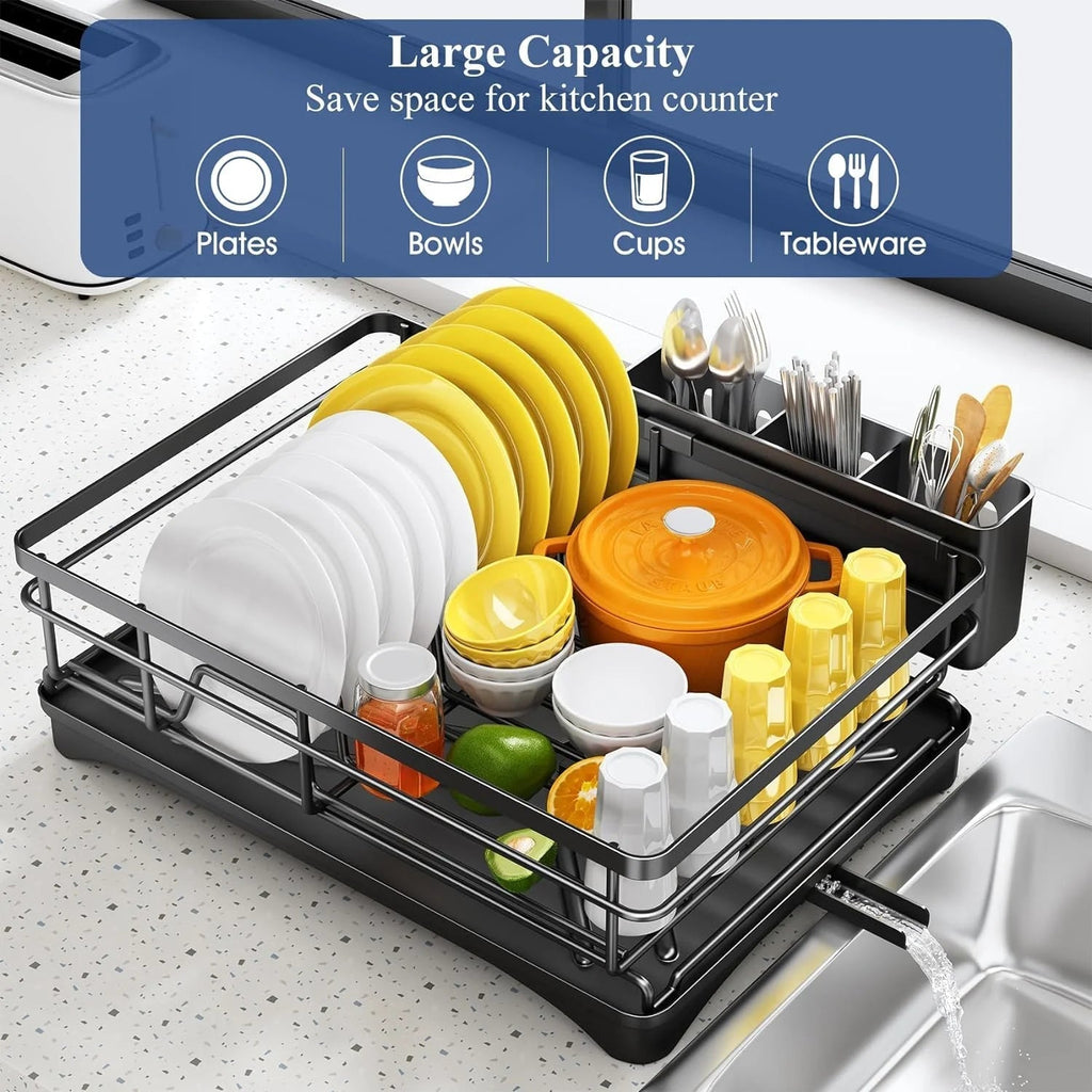 DroogFlow Dish Rack with Slanted Drain Board and Cutlery Holder