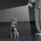 Dynamic construction provides full control during walks!