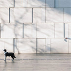Dynamic construction provides full control during walks!