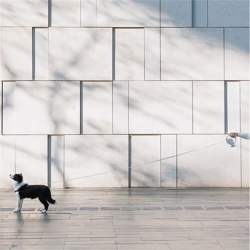 Dynamic construction provides full control during walks!