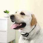 SafeZone - Wireless Dog Fence & Training Collar | Animal-Friendly Correction Methods | Rechargeable & Waterproof