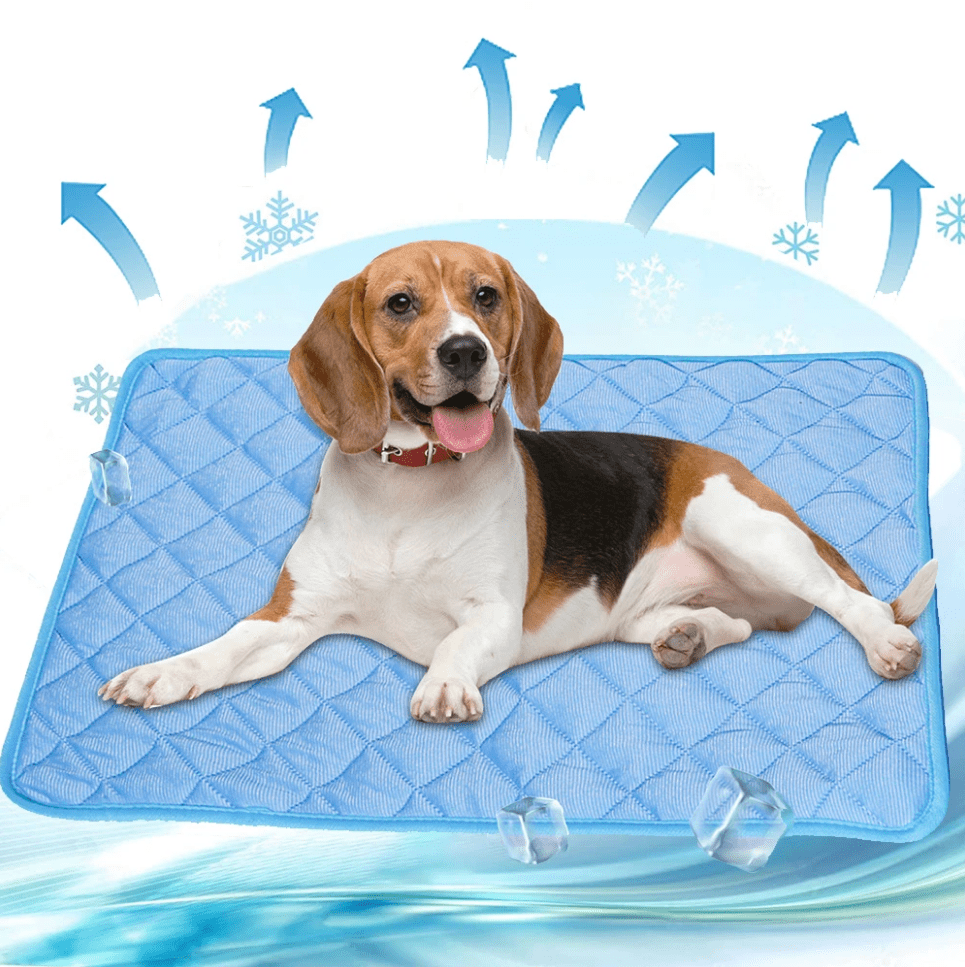 Self-cooling dog mat to prevent overheating in summer