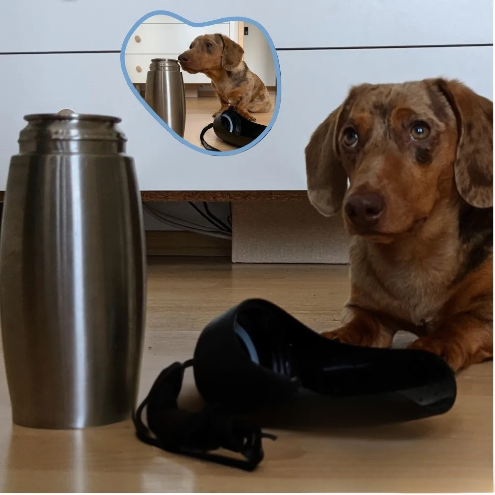 Dog Water Bottle Stainless Steel Portable Travel Drinking Cup